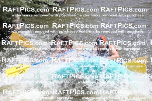 000753-July-1_Los-Rios_RAFT-Pics_Racecourse-AM_BS_JRaulIMG_9346