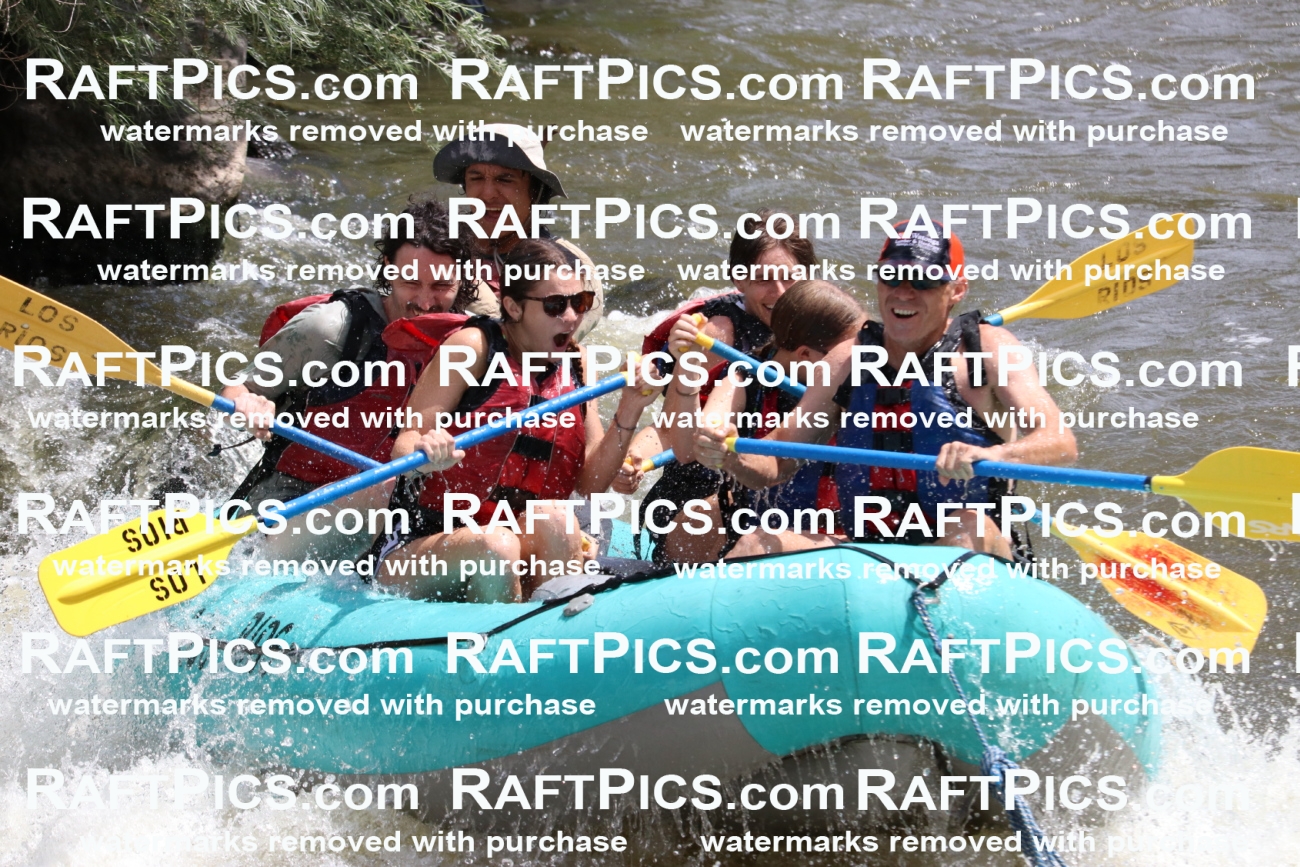 000754-July-1_Los-Rios_RAFT-Pics_Racecourse-AM_BS_JRaulIMG_9347