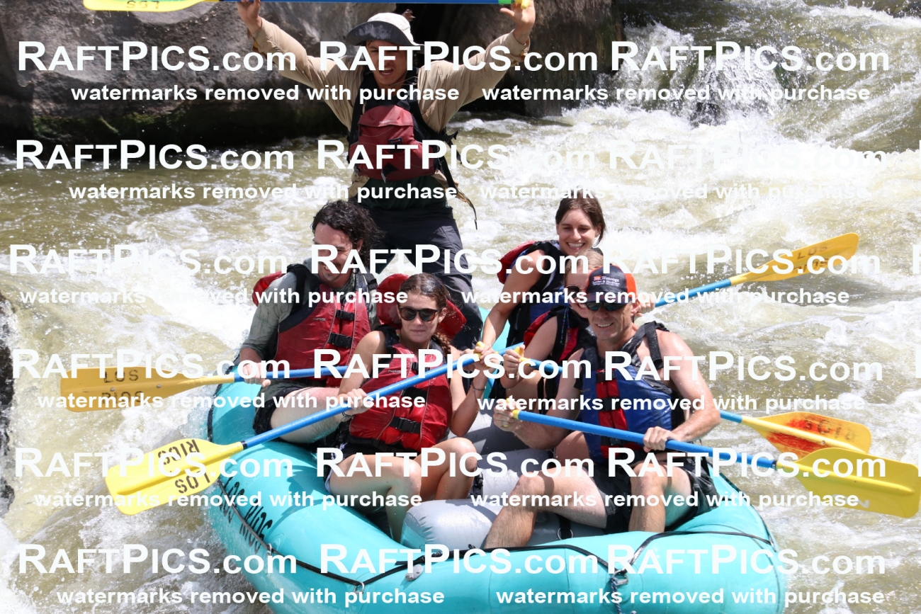 000759-July-1_Los-Rios_RAFT-Pics_Racecourse-AM_BS_JRaulIMG_9352