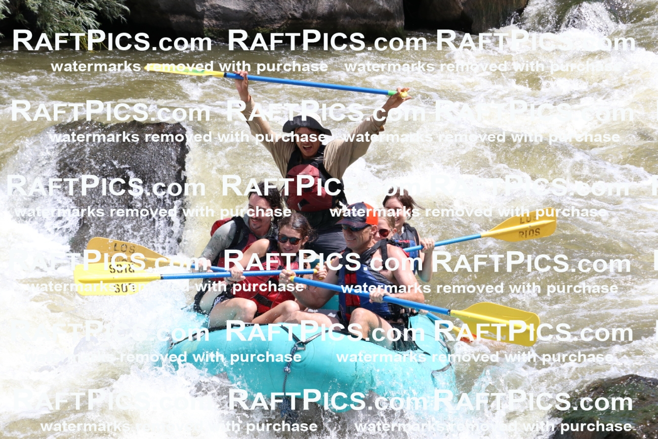 000762-July-1_Los-Rios_RAFT-Pics_Racecourse-AM_BS_JRaulIMG_9355