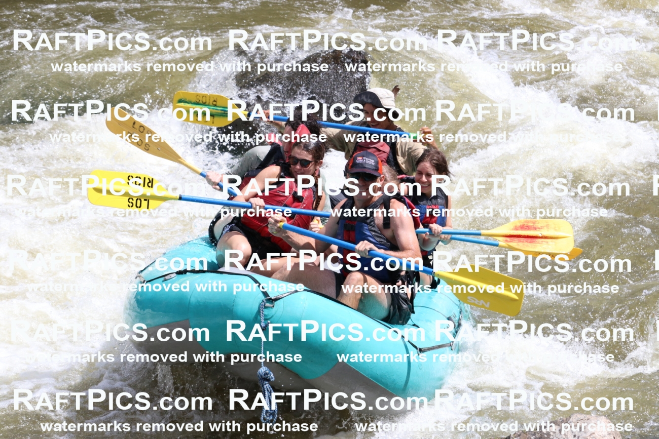 000764-July-1_Los-Rios_RAFT-Pics_Racecourse-AM_BS_JRaulIMG_9357