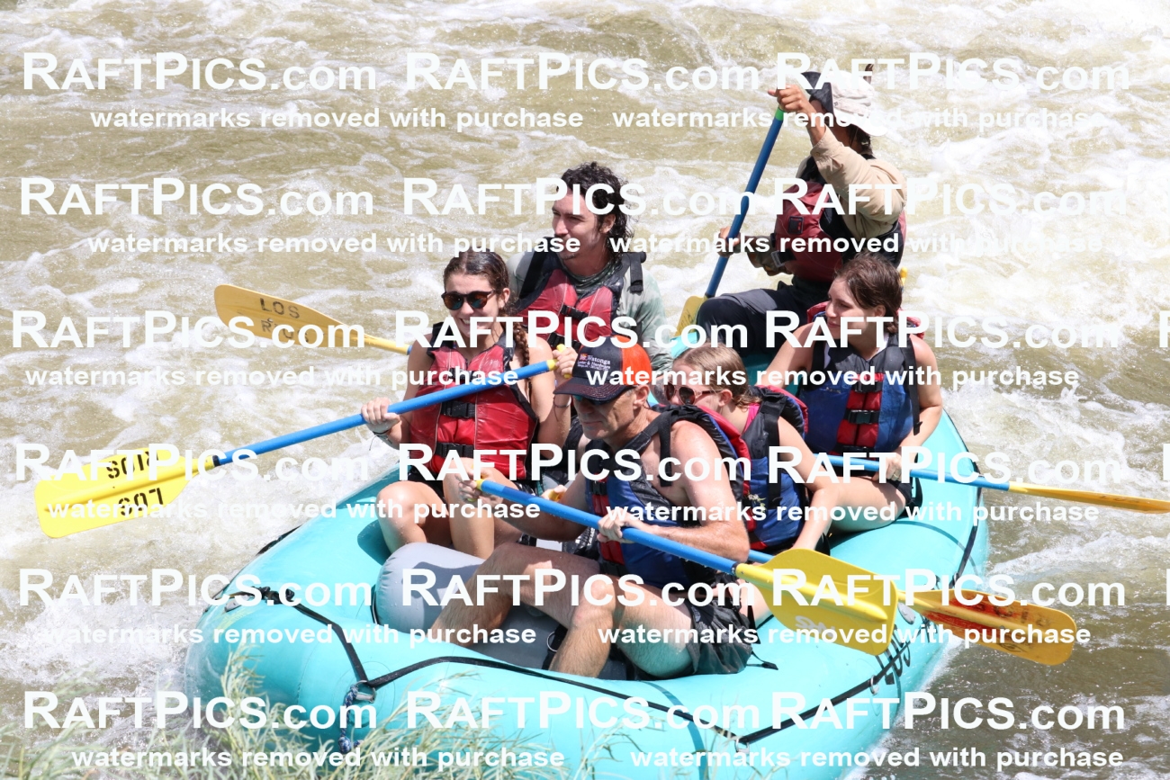 000765-July-1_Los-Rios_RAFT-Pics_Racecourse-AM_BS_JRaulIMG_9358