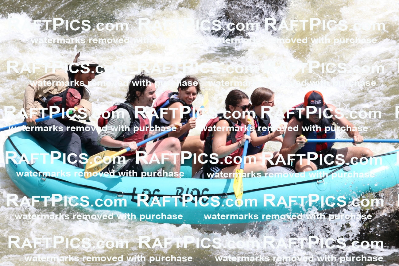 000766-July-1_Los-Rios_RAFT-Pics_Racecourse-AM_BS_JRaulIMG_9381