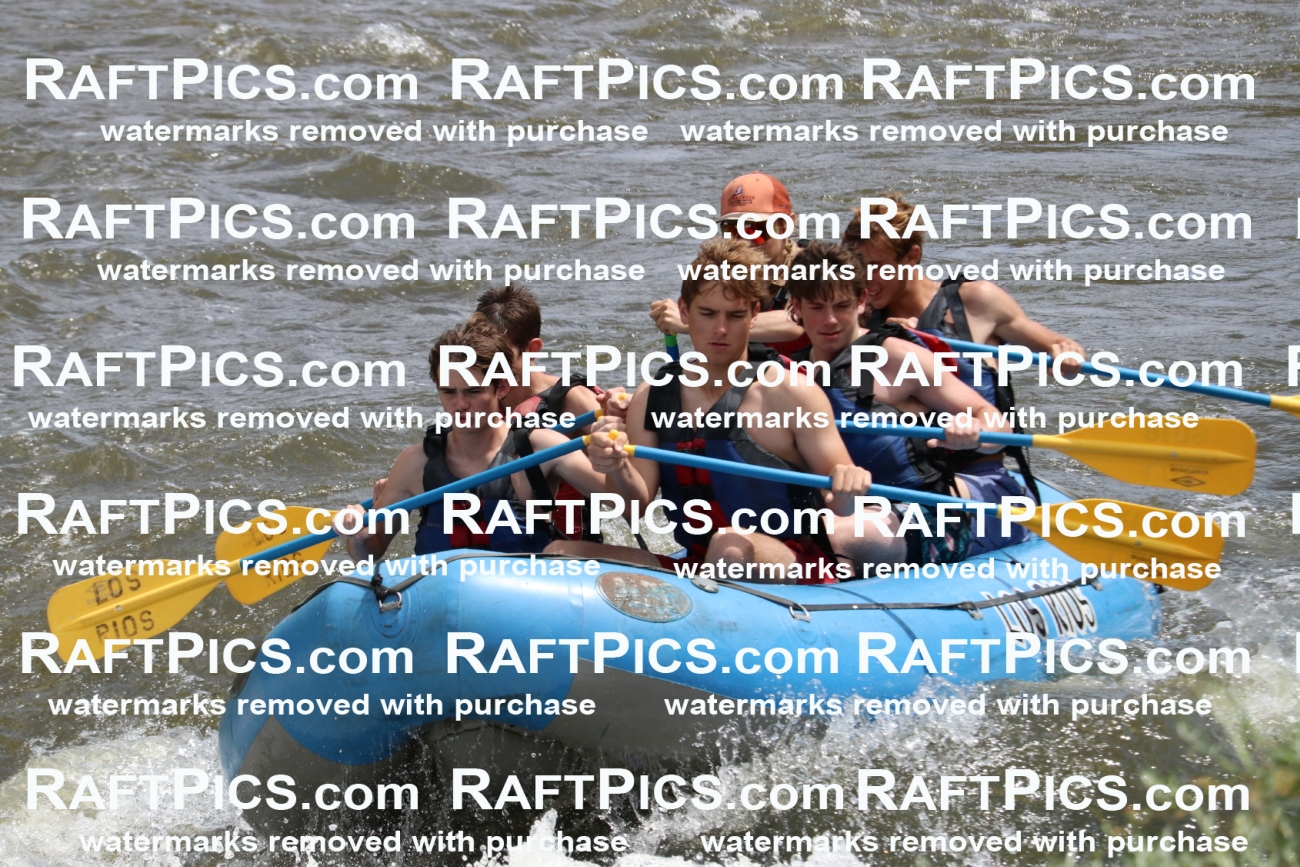 000774-July-1_Los-Rios_RAFT-Pics_Racecourse-AM_BS_SaraIMG_9364