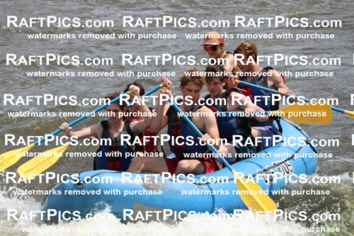 000775-July-1_Los-Rios_RAFT-Pics_Racecourse-AM_BS_SaraIMG_9365