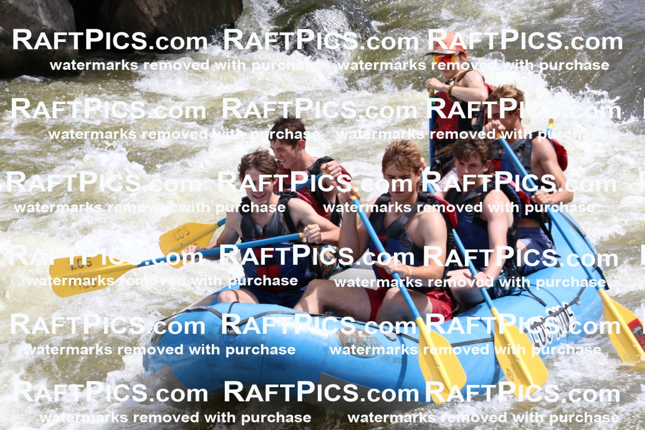 000780-July-1_Los-Rios_RAFT-Pics_Racecourse-AM_BS_SaraIMG_9370