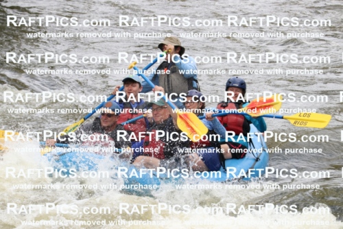 006019_RaftPics_July1_Los-Rios_Racecourse_PM_BS_MichaelIMG_9777