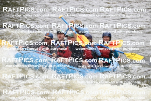 006020_RaftPics_July1_Los-Rios_Racecourse_PM_BS_MichaelIMG_9778