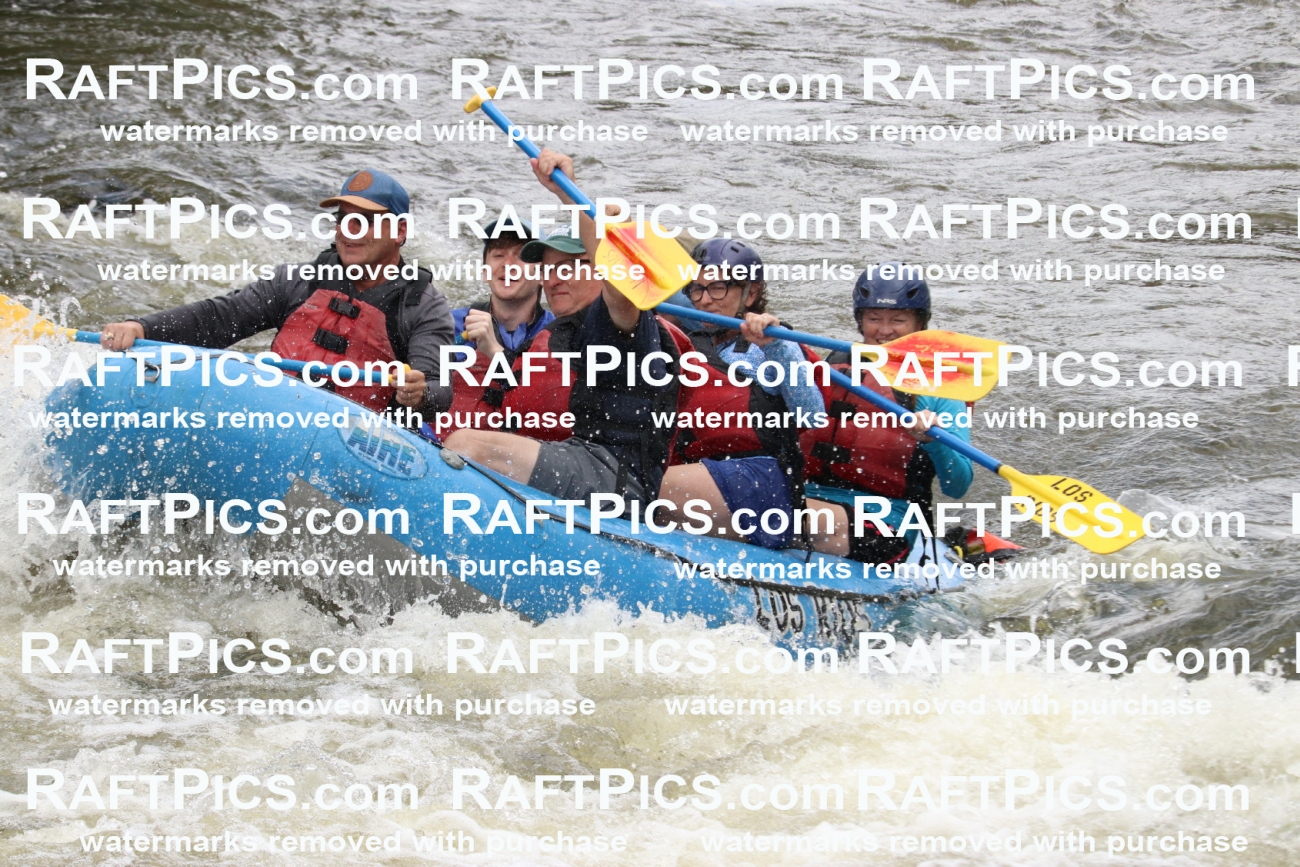 006021_RaftPics_July1_Los-Rios_Racecourse_PM_BS_MichaelIMG_9779