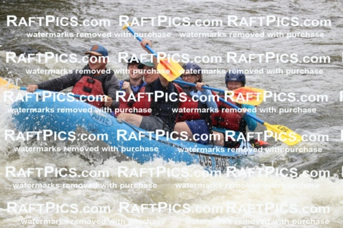 006021_RaftPics_July1_Los-Rios_Racecourse_PM_BS_MichaelIMG_9779