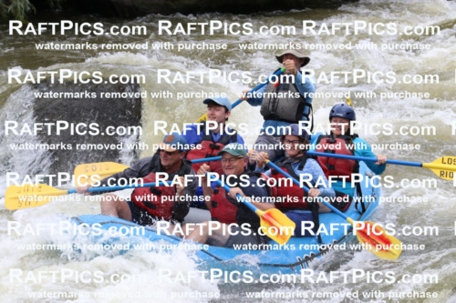 006028_RaftPics_July1_Los-Rios_Racecourse_PM_BS_MichaelIMG_9786