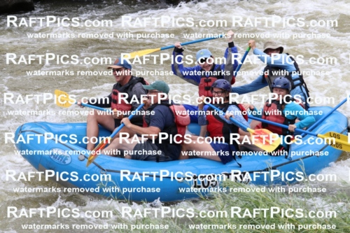 006034_RaftPics_July1_Los-Rios_Racecourse_PM_BS_MichaelIMG_9792