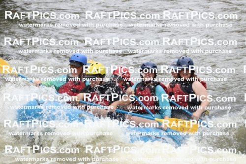 006060_RaftPics_July1_Los-Rios_Racecourse_PM_BS_JOhnIMG_9762