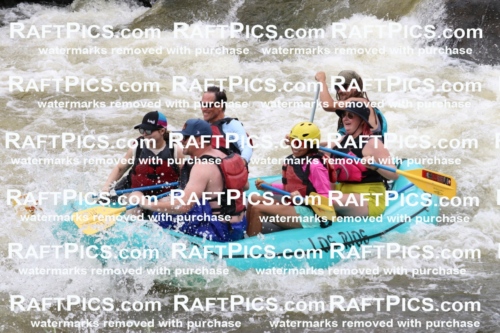 006468_RaftPics_July1_Los-Rios_Racecourse_PM_BS_BodieIMG_9811