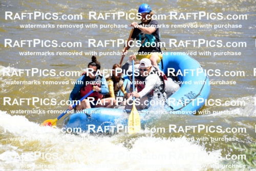 000834-July-2_Los-Rios_RAFT-Pics_Racecourse-AM_LA_Abe__LES6736