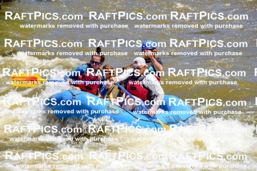 000837-July-2_Los-Rios_RAFT-Pics_Racecourse-AM_LA_Abe__LES6739