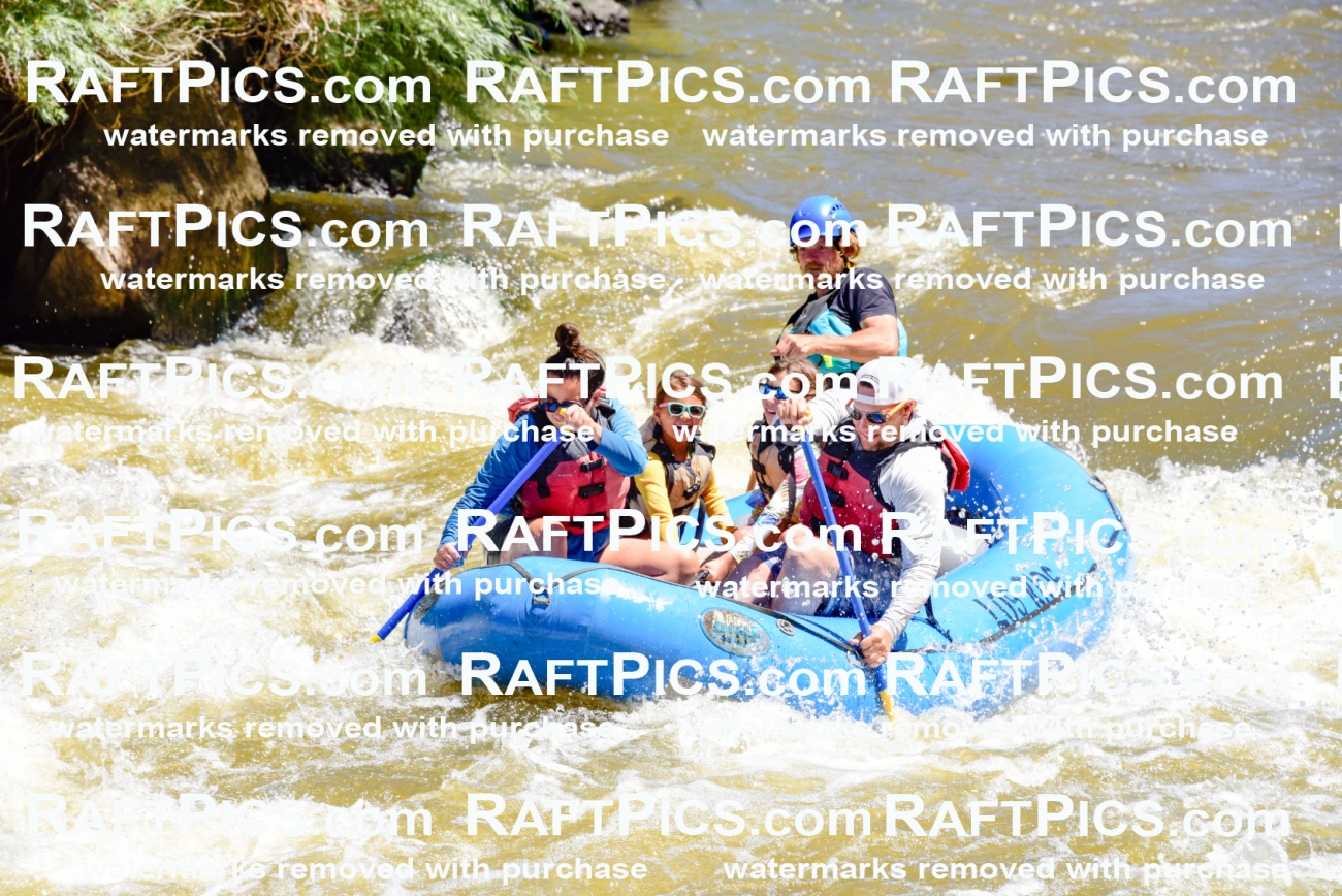 000842-July-2_Los-Rios_RAFT-Pics_Racecourse-AM_LA_Abe__LES6744