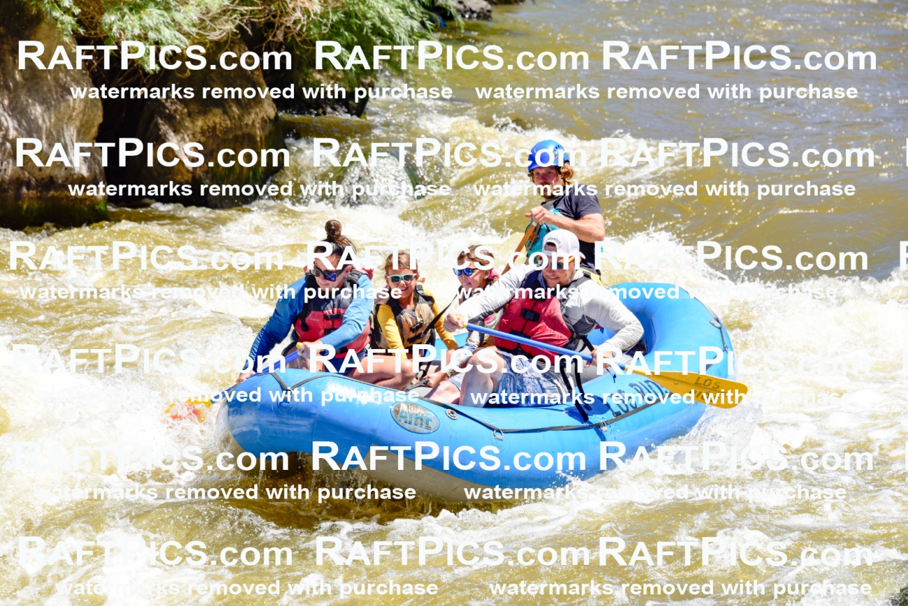 000844-July-2_Los-Rios_RAFT-Pics_Racecourse-AM_LA_Abe__LES6746