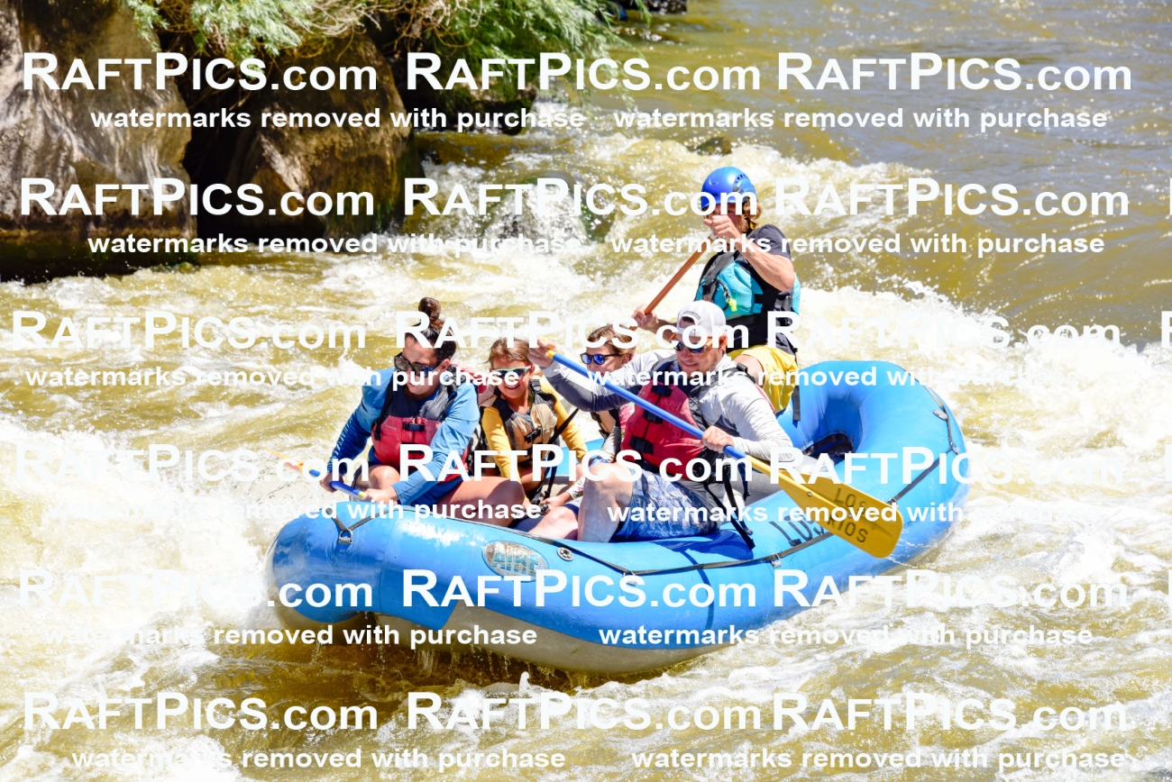 000845-July-2_Los-Rios_RAFT-Pics_Racecourse-AM_LA_Abe__LES6747