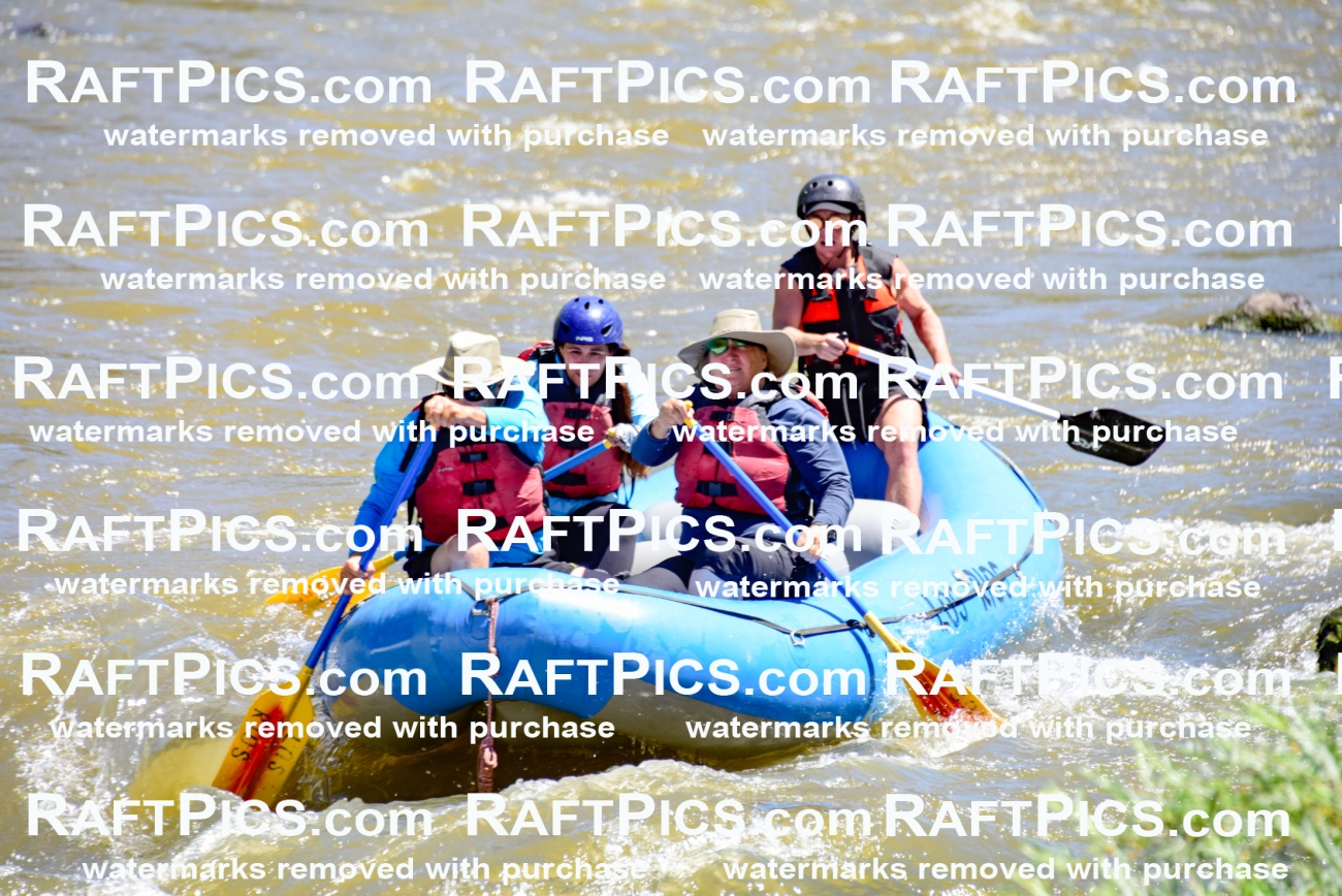 000855-July-2_Los-Rios_RAFT-Pics_Racecourse-AM_LA_Blair__LES6692