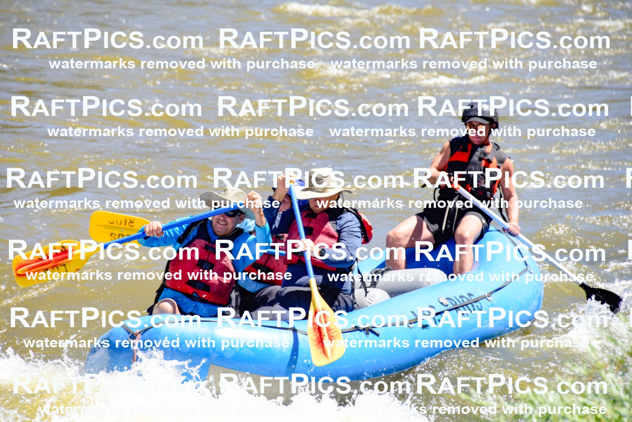 000857-July-2_Los-Rios_RAFT-Pics_Racecourse-AM_LA_Blair__LES6694