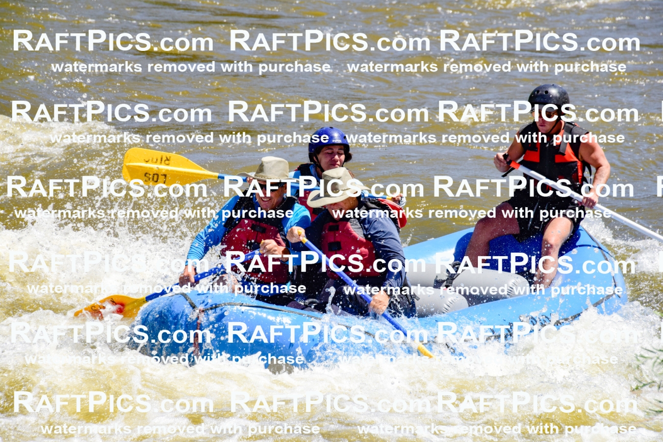 000859-July-2_Los-Rios_RAFT-Pics_Racecourse-AM_LA_Blair__LES6696