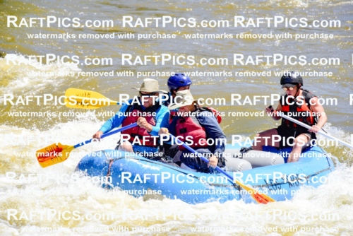 000860-July-2_Los-Rios_RAFT-Pics_Racecourse-AM_LA_Blair__LES6697