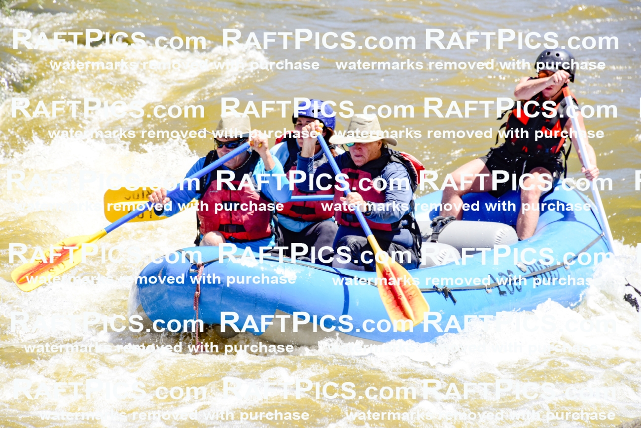 000861-July-2_Los-Rios_RAFT-Pics_Racecourse-AM_LA_Blair__LES6698