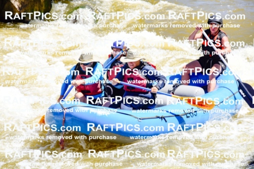 000863-July-2_Los-Rios_RAFT-Pics_Racecourse-AM_LA_Blair__LES6700