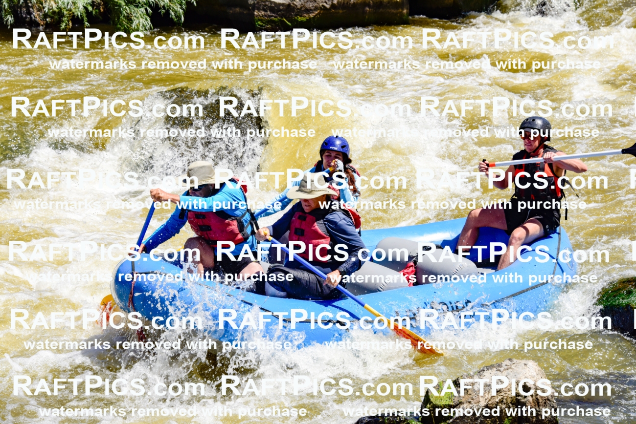 000867-July-2_Los-Rios_RAFT-Pics_Racecourse-AM_LA_Blair__LES6704