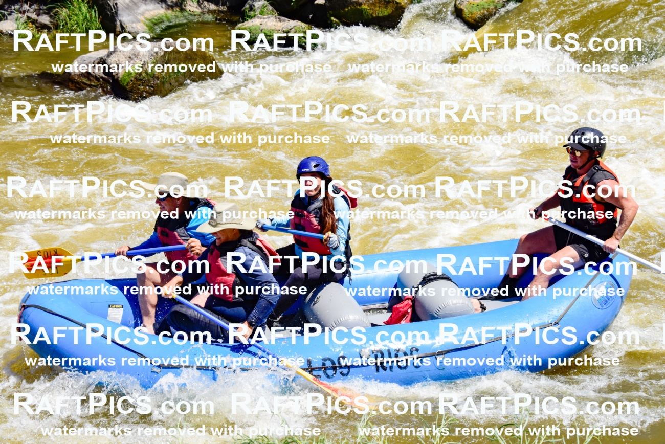 000869-July-2_Los-Rios_RAFT-Pics_Racecourse-AM_LA_Blair__LES6706