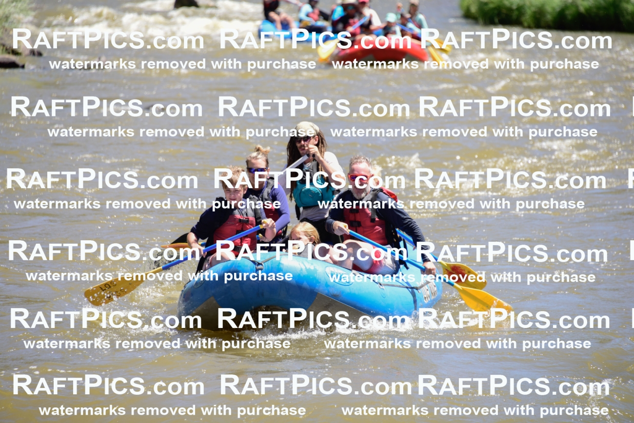 000876-July-2_Los-Rios_RAFT-Pics_Racecourse-AM_LA_Bodie__LES6646