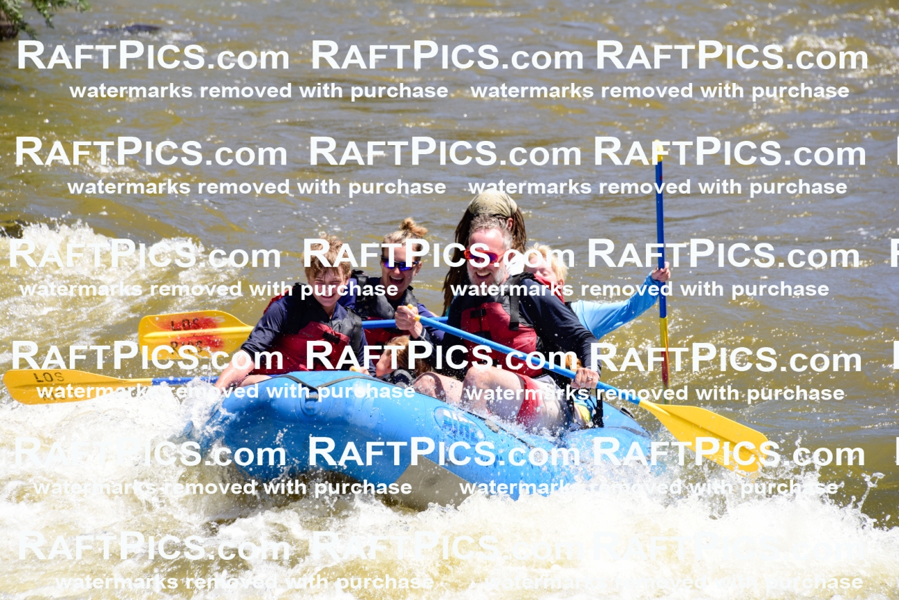 000880-July-2_Los-Rios_RAFT-Pics_Racecourse-AM_LA_Bodie__LES6650