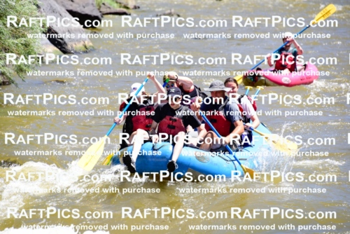 000895-July-2_Los-Rios_RAFT-Pics_Racecourse-AM_LA_Emily__LES6612