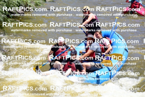 000897-July-2_Los-Rios_RAFT-Pics_Racecourse-AM_LA_Emily__LES6614