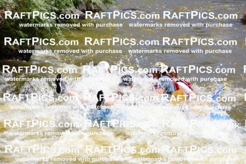 000900-July-2_Los-Rios_RAFT-Pics_Racecourse-AM_LA_Emily__LES6617