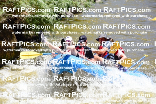 000902-July-2_Los-Rios_RAFT-Pics_Racecourse-AM_LA_Emily__LES6619