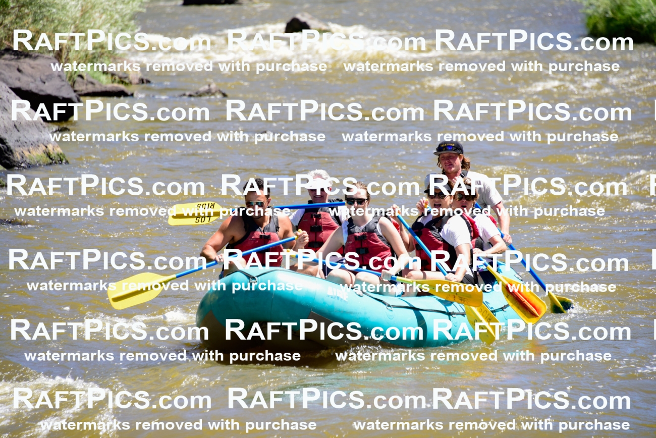 000953-July-2_Los-Rios_RAFT-Pics_Racecourse-AM_LA_Jackson__LES6557