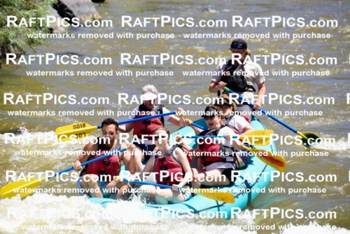 000955-July-2_Los-Rios_RAFT-Pics_Racecourse-AM_LA_Jackson__LES6559