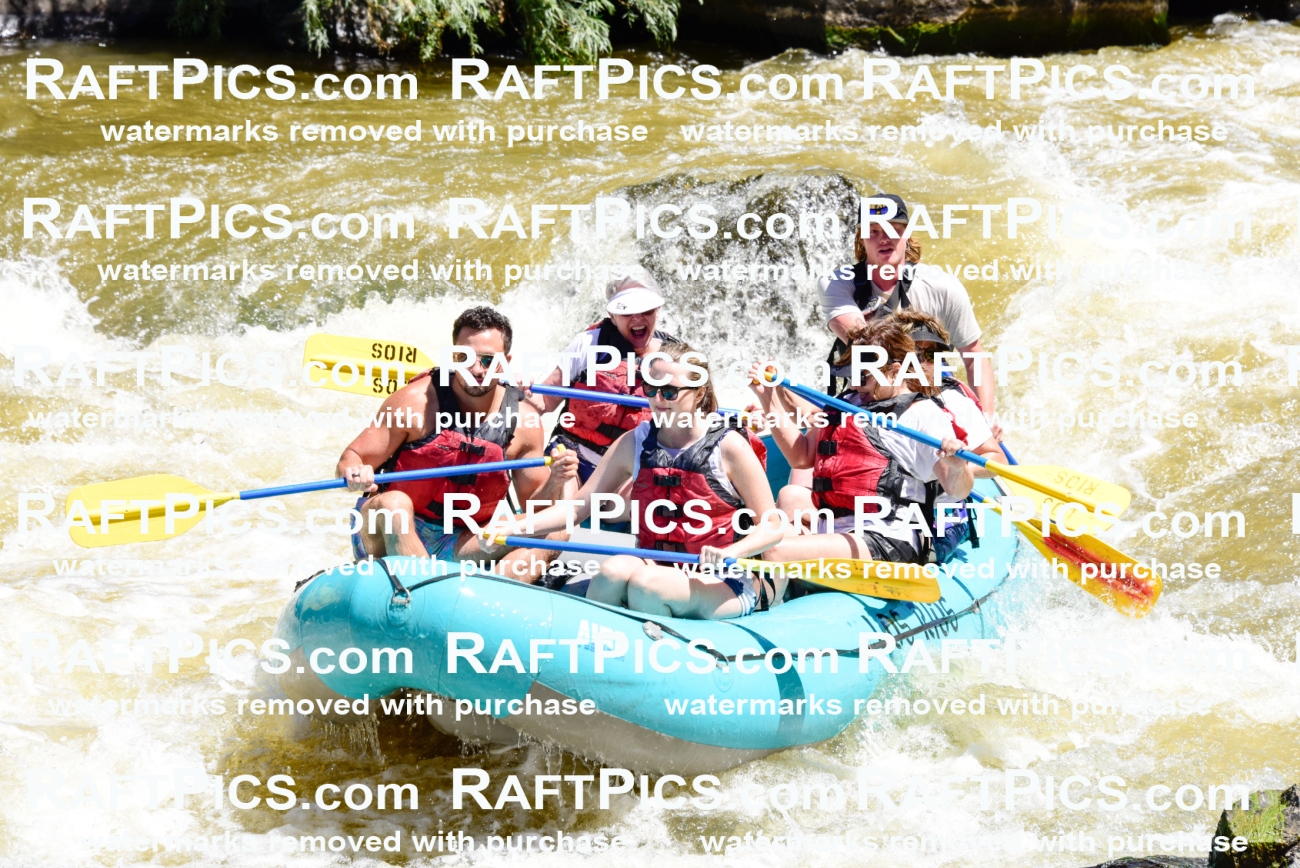 000968-July-2_Los-Rios_RAFT-Pics_Racecourse-AM_LA_Jackson__LES6572