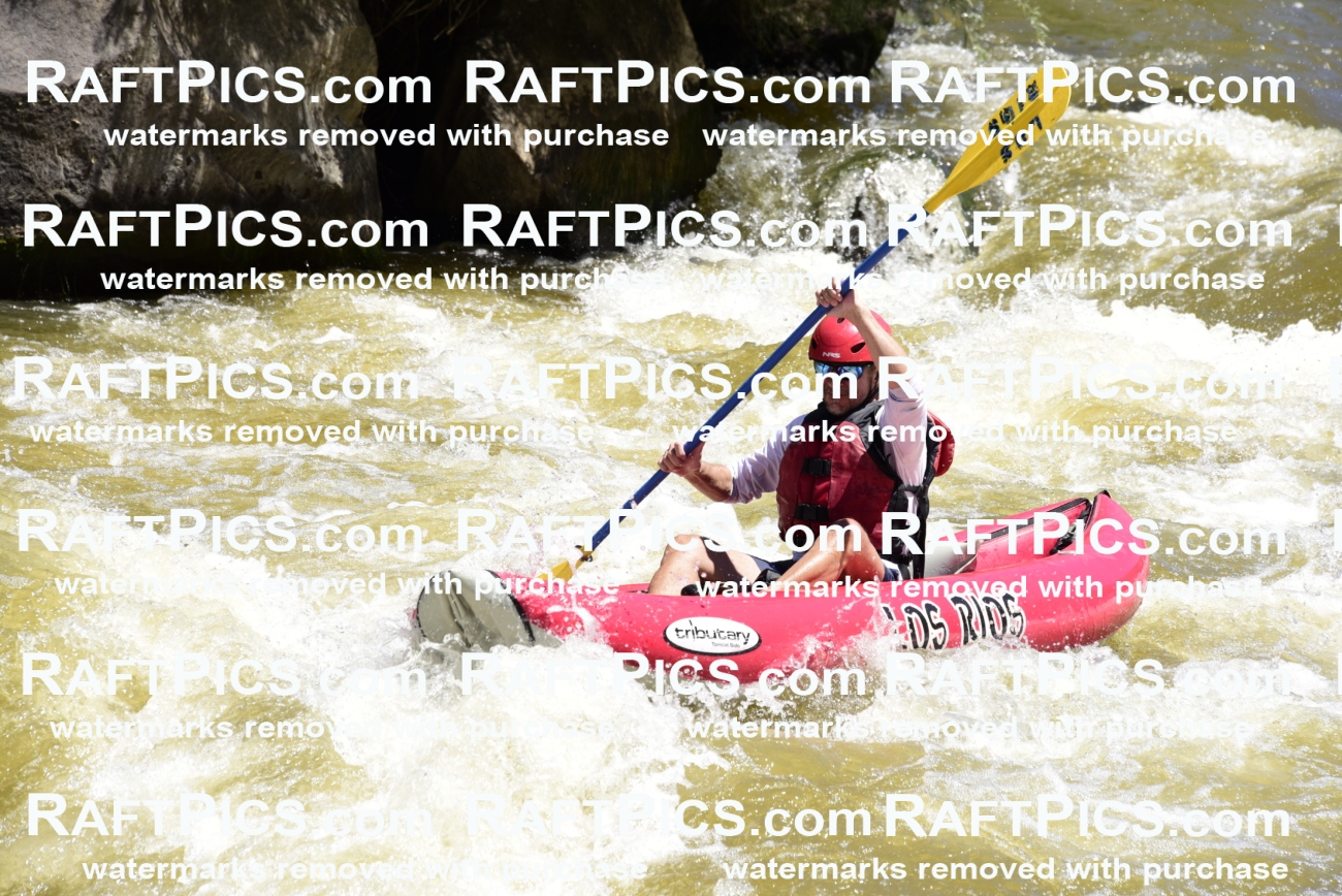 000931-July-2_Los-Rios_RAFT-Pics_Racecourse-AM_LA_funyaks__LES6607