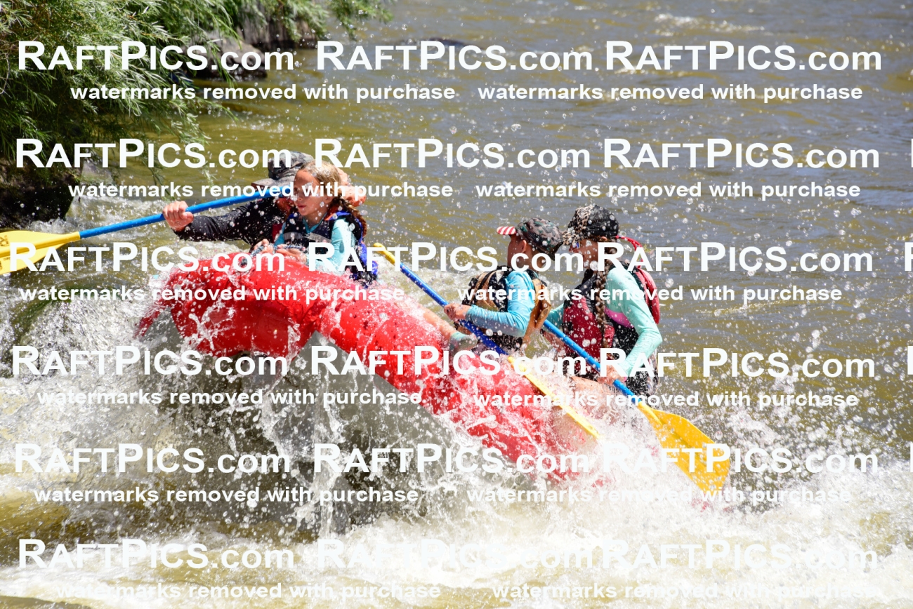 000982-July-2_Los-Rios_RAFT-Pics_Racecourse-AM_LA_John__LES6671