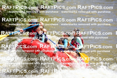 000983-July-2_Los-Rios_RAFT-Pics_Racecourse-AM_LA_John__LES6672