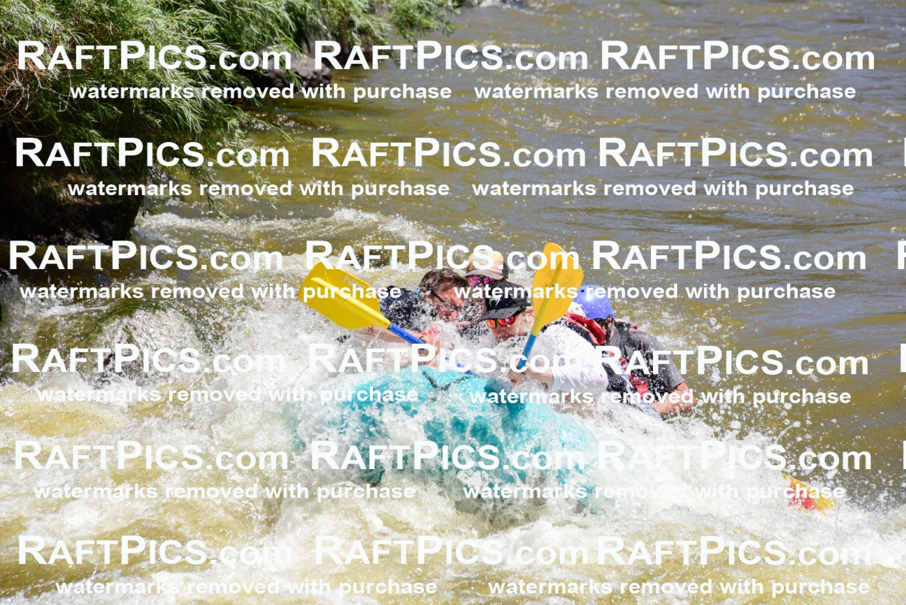 001015-July-2_Los-Rios_RAFT-Pics_Racecourse-AM_LA_Leslie__LES6713