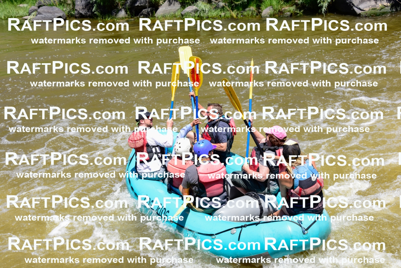 001032-July-2_Los-Rios_RAFT-Pics_Racecourse-AM_LA_Leslie__LES6730