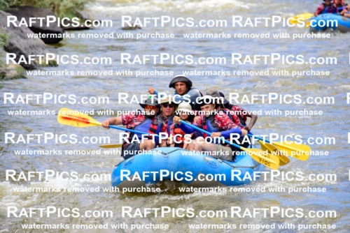 006619_RaftPics_July2_LosRios_Racecourse_PM_LA_Raul_LES6920