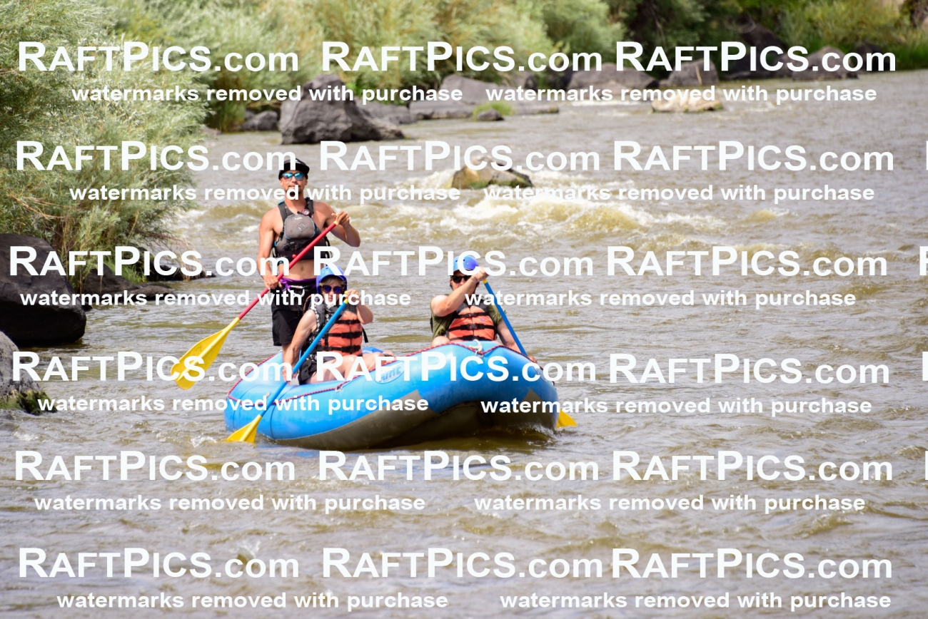 005473_RaftPics_June28_New-Wave_Racecourse_PM_LA__LES5759