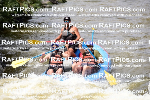 005477_RaftPics_June28_New-Wave_Racecourse_PM_LA__LES5763