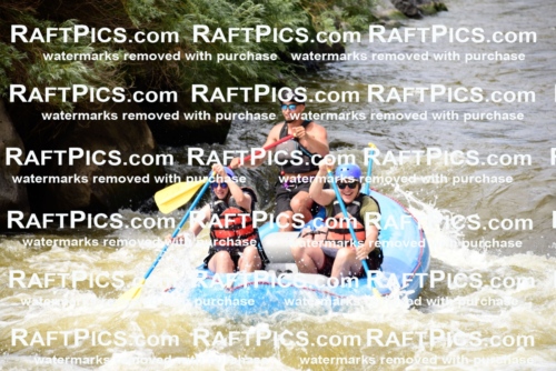 005485_RaftPics_June28_New-Wave_Racecourse_PM_LA__LES5771