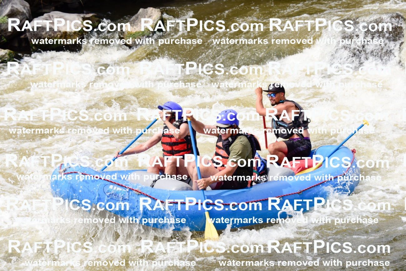 005497_RaftPics_June28_New-Wave_Racecourse_PM_LA__LES5783